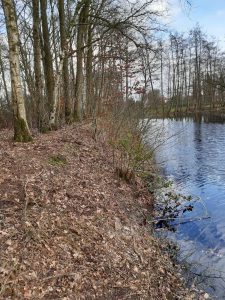 snoeiwerkzaamheden De Akkers Muntendam